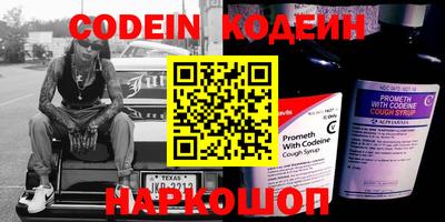 apvp Кингисепп