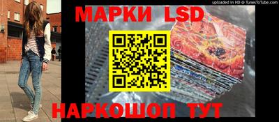 apvp Кингисепп