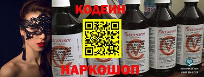 apvp Кингисепп