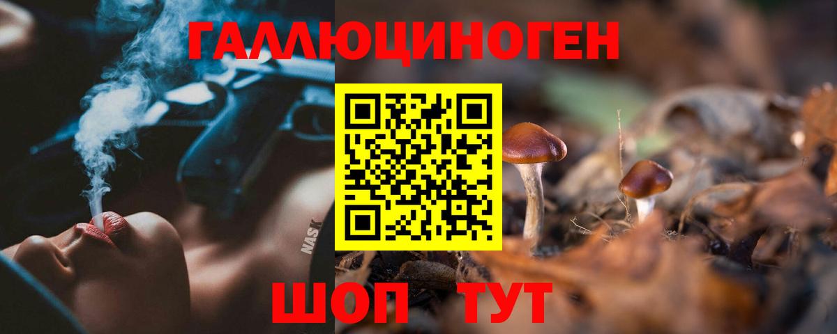 Галлюциногенные грибы прущие грибы  Вход с VPN  Королёв  Галлюциногенные грибы GOLDEN TEACHER 